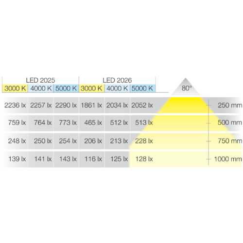 SPOT LOOX LED 2025 12 V 5000 K