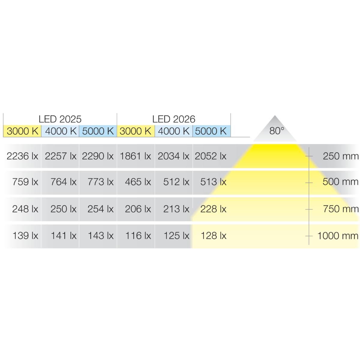 SPOT LOOX LED 2025 12 V 5000 K