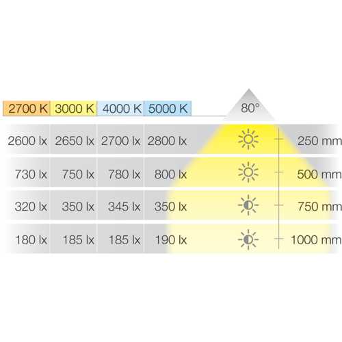 SPOT LOOX5 LED 2025 12V 3000°K