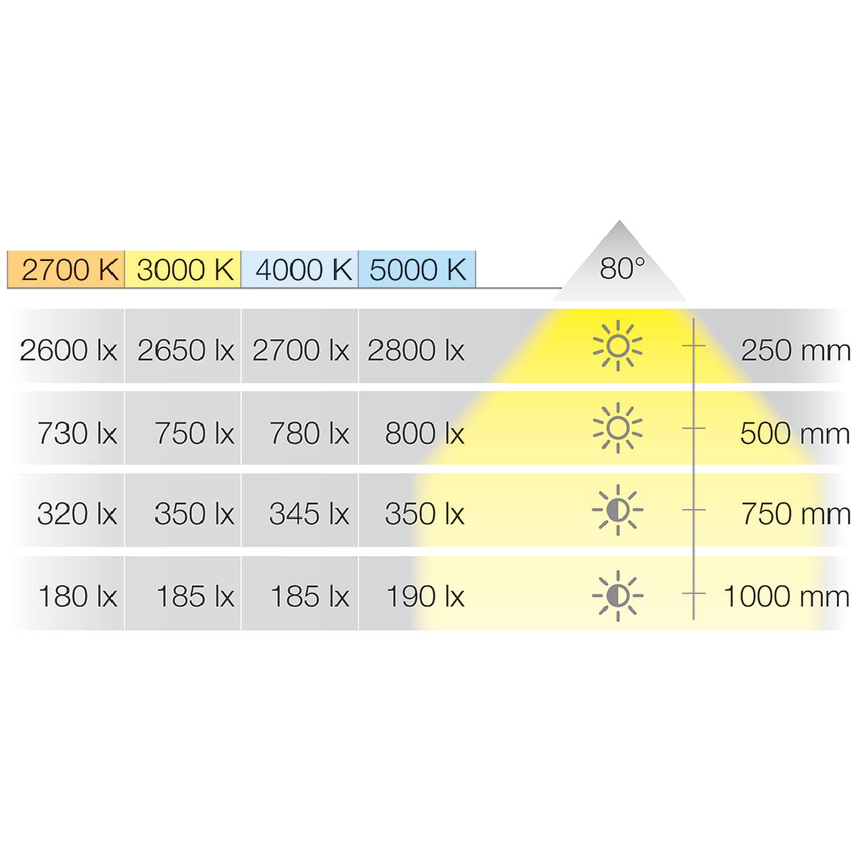 SPOT LOOX5 LED 2025 12V 3000°K