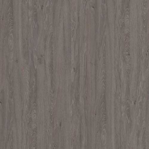 CHANT ABS CHÊNE APOLLO GRIS