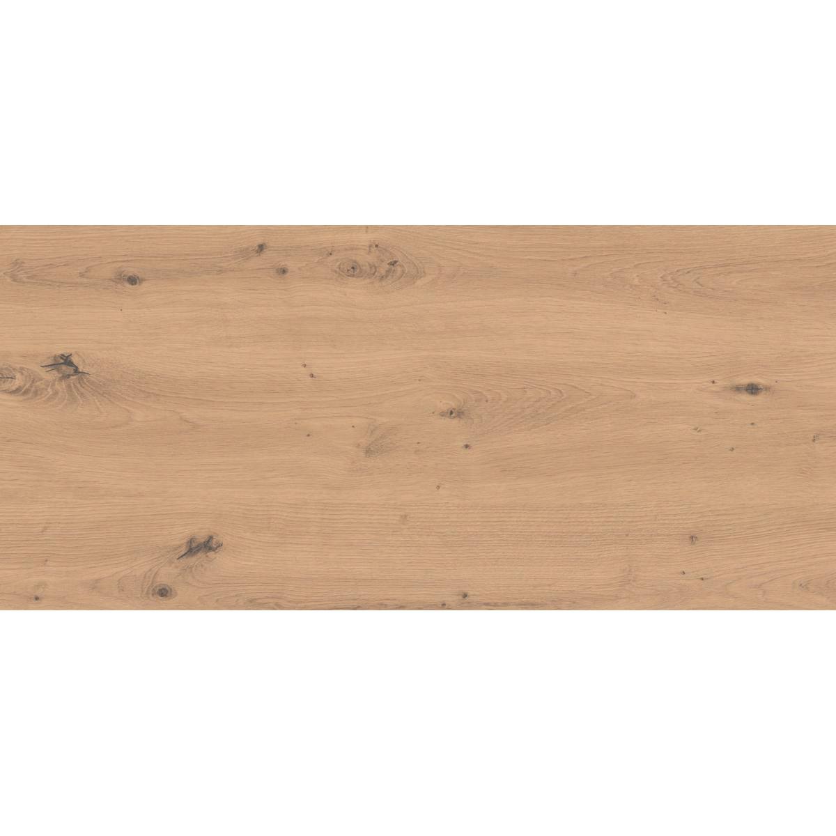 CHANT ABS 0,8mm NON ENCOLLÉ ROBLE AMAZONA 6AS FINITION ATLAS - 90 ml x 23 mm