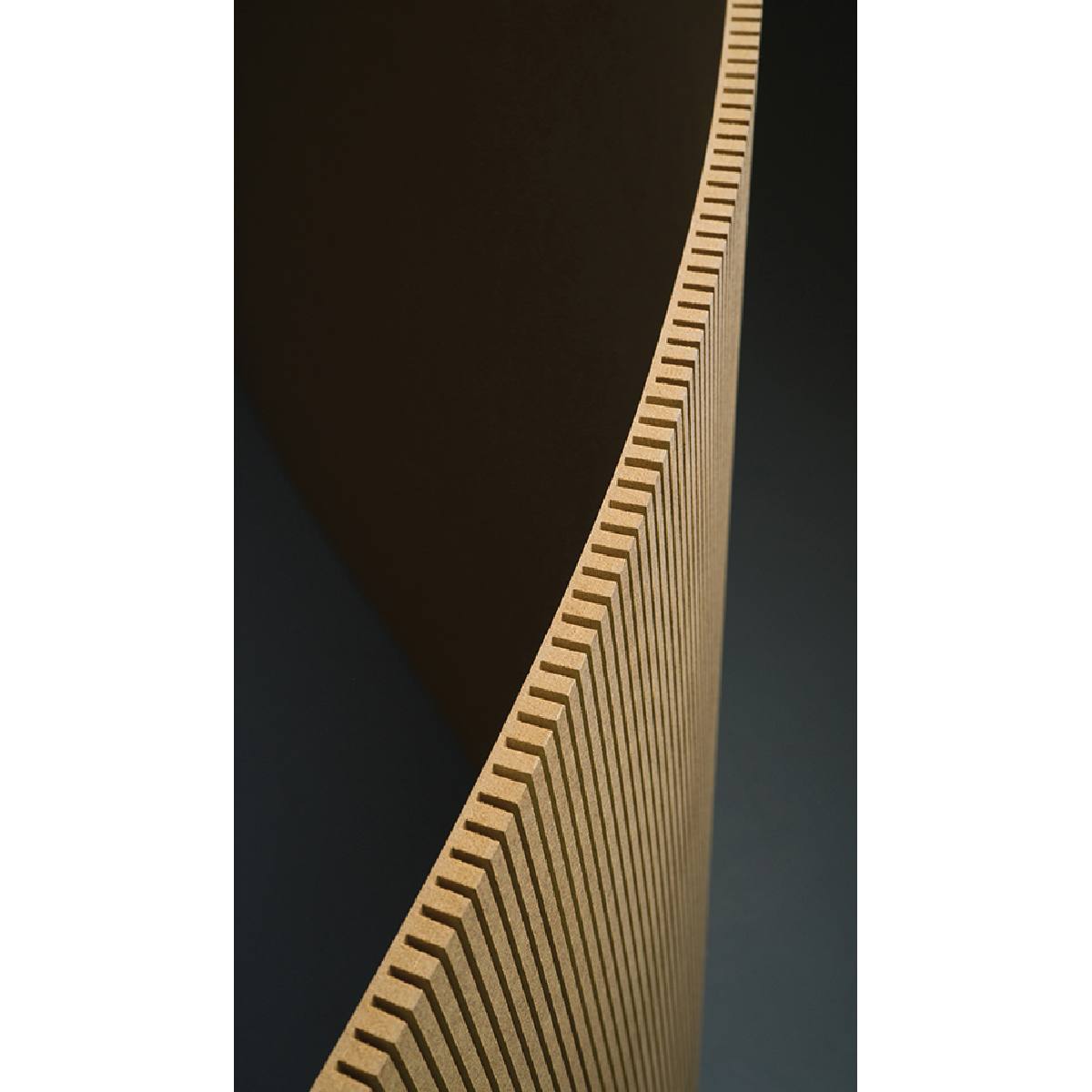 MDF CINTRABLE FIBRAFORM TRV E-Z TRANSVERSAL 1220 x 3050 x 10 mm