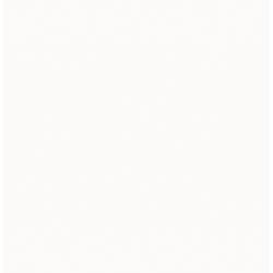 MELAMINE PRIMEBOARD CRAIE U11102 XTSM/SD 2800x2100x19 mm