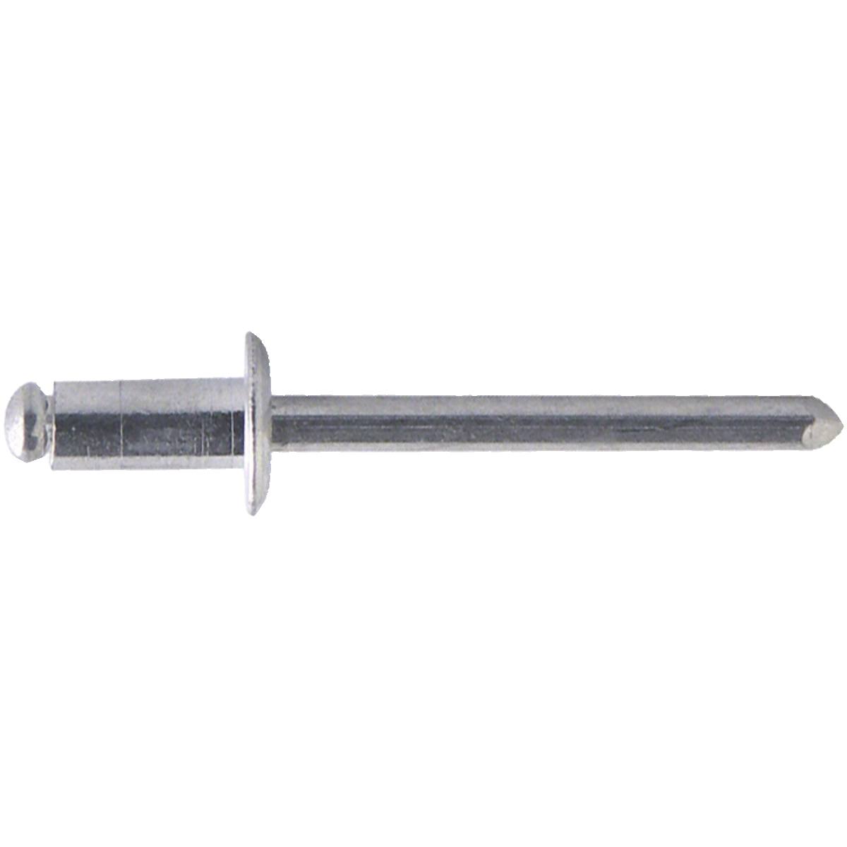 Rivets Solides, 350 pcs Rivets Alm Massifs à Tête Plate Multi-Tailles