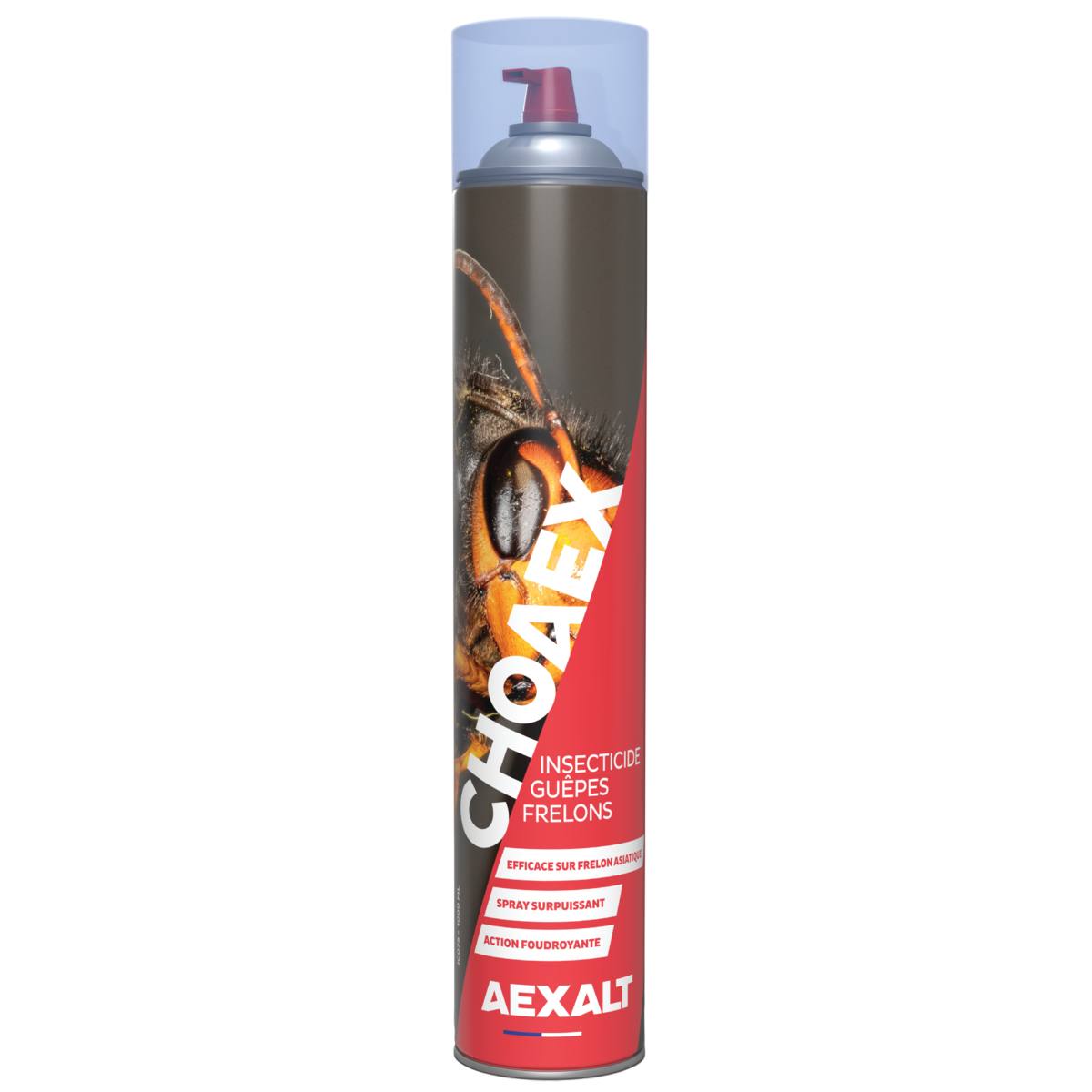 INSECTICIDE CHOAEX 1000ML