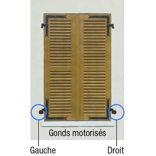 MOTORISATION RADIO DE VOLETS BATTANTS D WIBAT