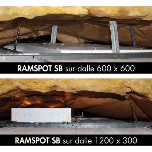 PROTECTION DE SPOT RAMSPOT SB®