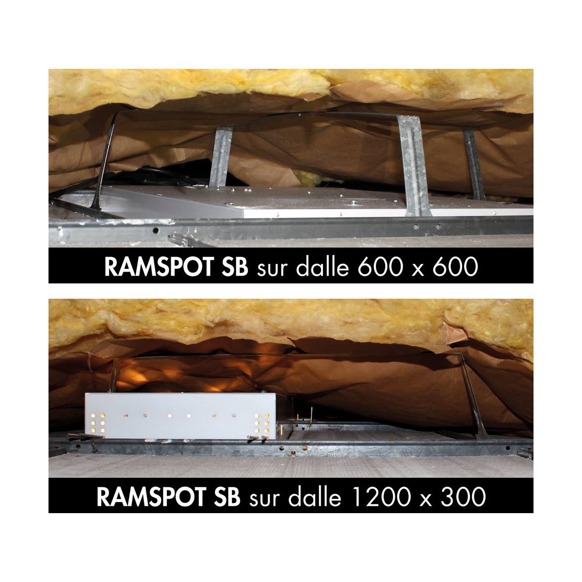 PROTECTION DE SPOT RAMSPOT SB®