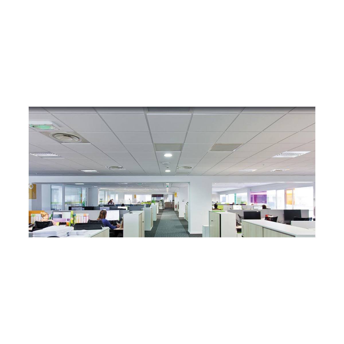 PROTECTION DE SPOT RAMSPOT SB®