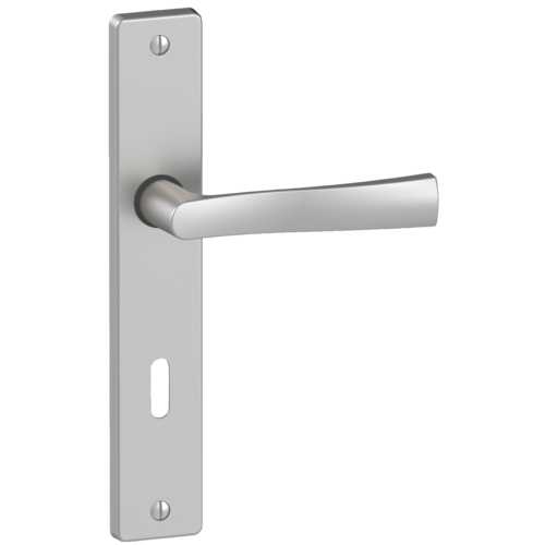 ENSEMBLE DE PORTE FLEX CLÉ L SUR PLAQUE 195 MM CHROME SATIN