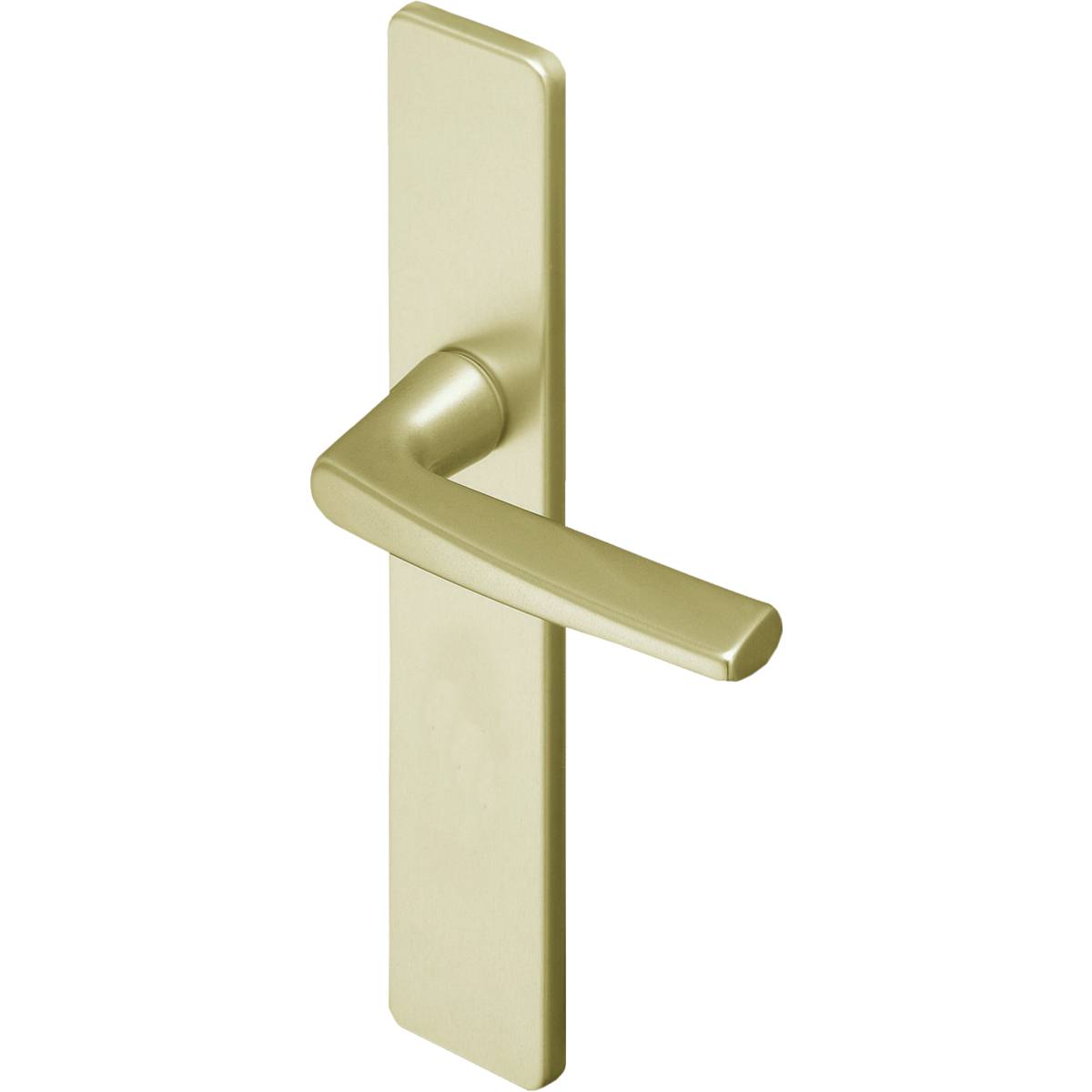 RIVIERA CHAMPAGNE BEC DE CANE SUR PLAQUE 195 MM