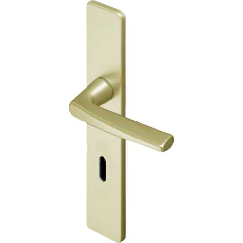 RIVIERA CHAMPAGNE CLÉ L SUR PLAQUE 195 MM