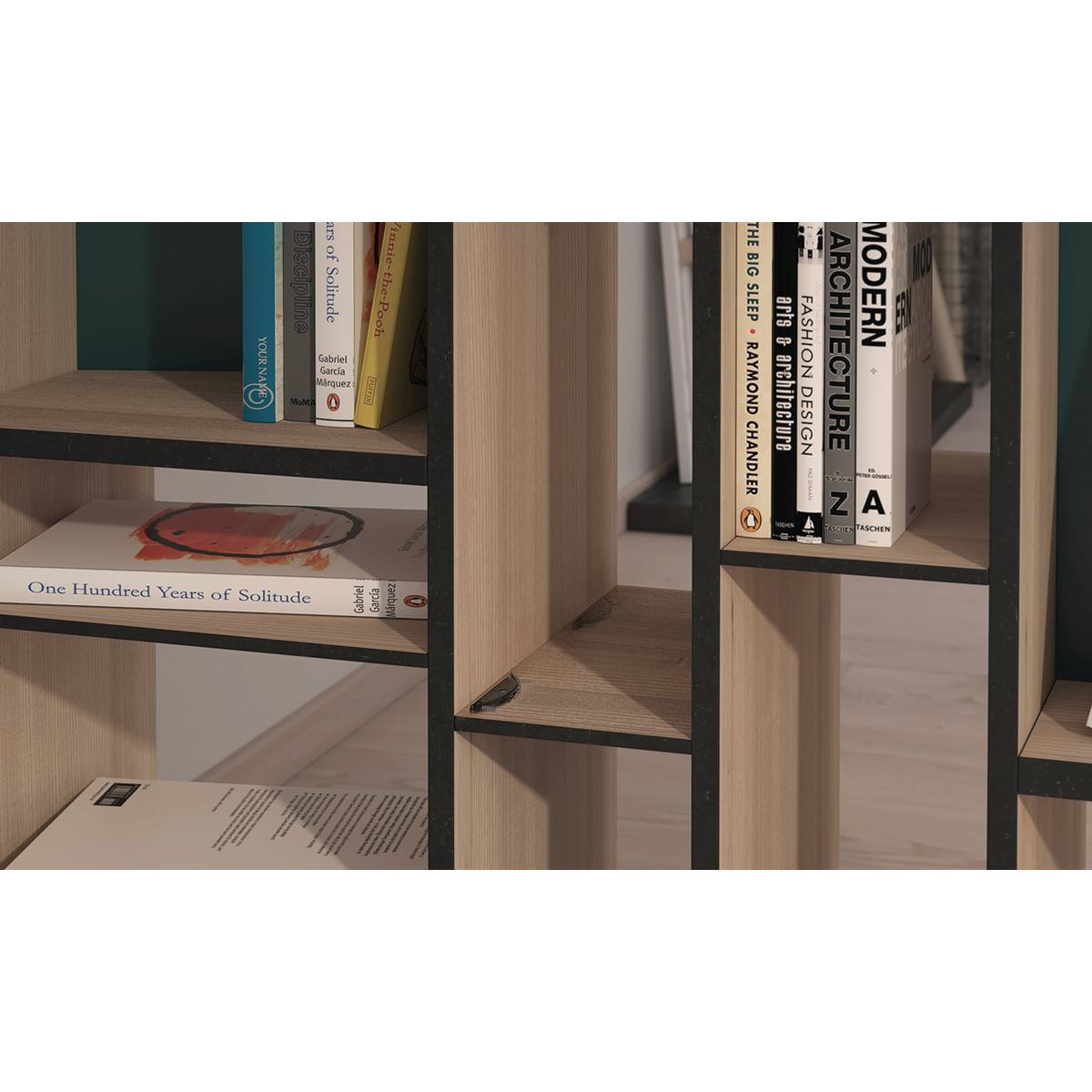 CLAMEX S-20 (20 PAIRES) 