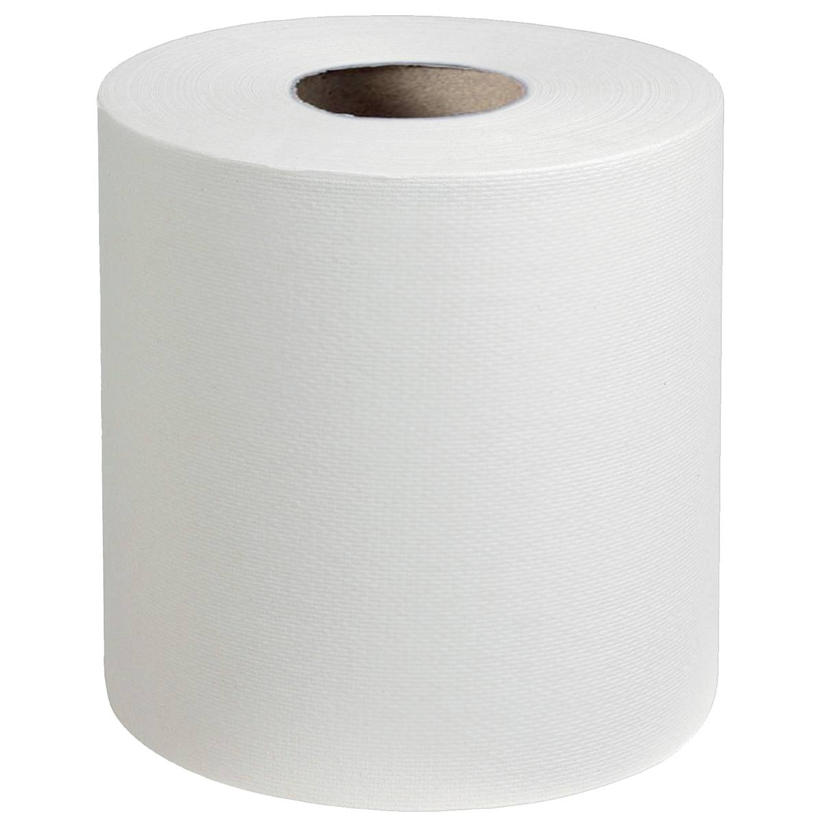 PAPIER D'ESSUYAGE 450 FORMATS 2 PLIS