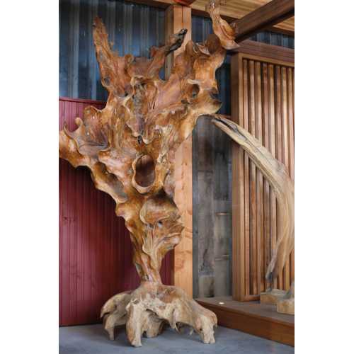 RACINE TECK GRAND FORMAT 1,70/2M (MODELE SUIVANT ARRIVAGE)