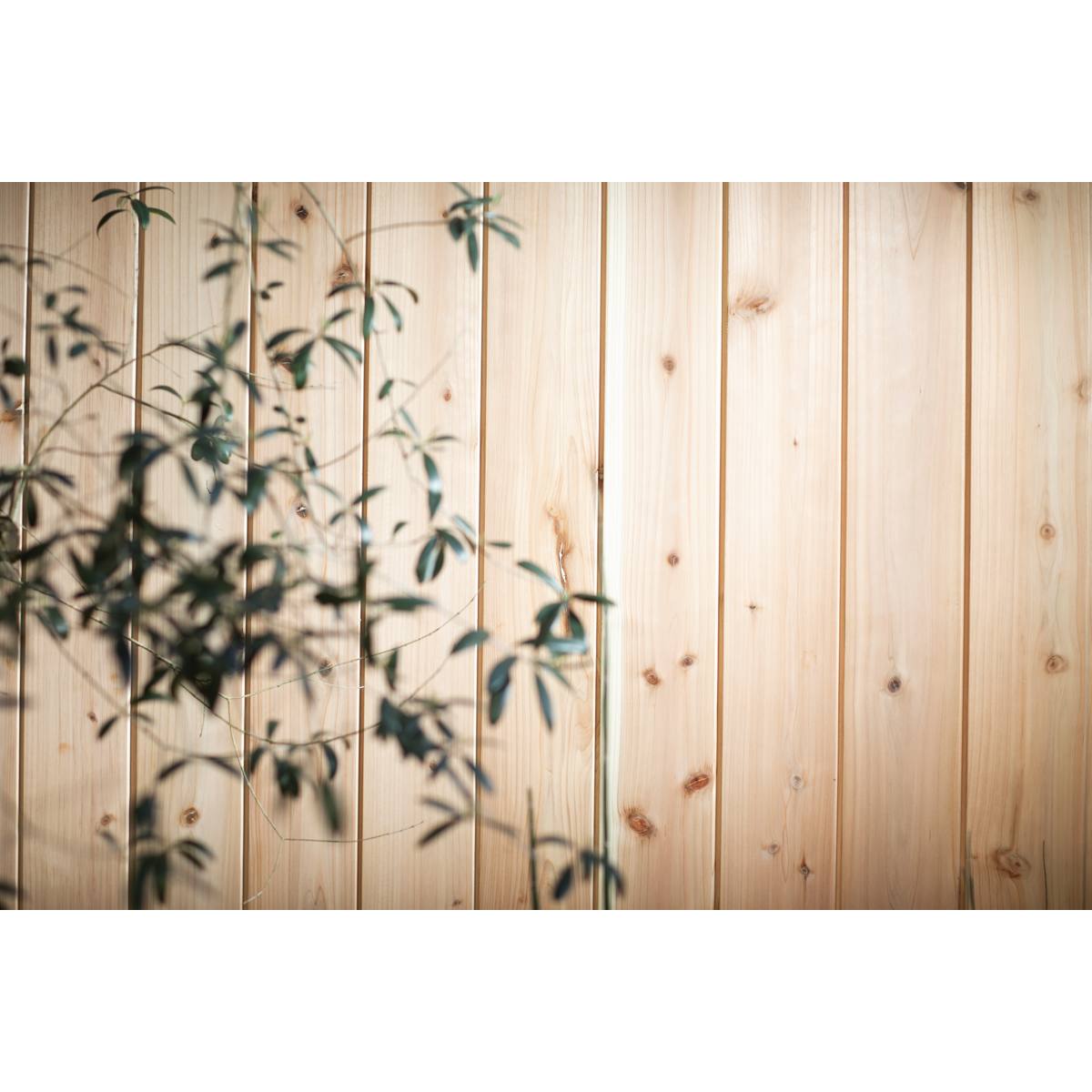 BARDAGE DOUBLO ASPECT CRYPTOMERIA JAPONICA