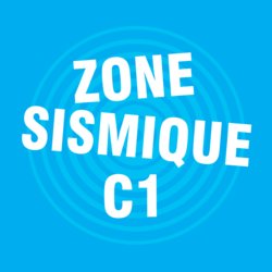 RÉSINE VINYLESTER SPÉCIALE BÉTON TON GRIS 420 ML + 1 CANULE}