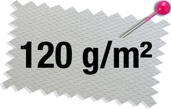 BANDE ABRASIVE COURTE 2920 SIAWOOD X TOPTEC GRAIN 100}