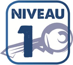 CYLINDRE 40 + 40 AXI'HOME A2P* LAITON NICKELÉ}